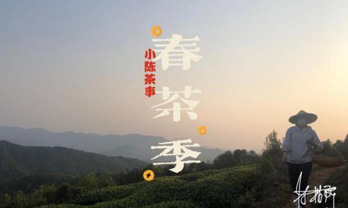 白茶的价格是多少钱一斤（为什么有的白茶只要60元）