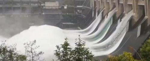 千岛湖鱼多少钱一斤（洪水冲击）