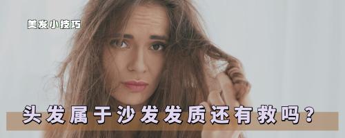 順直頭發(fā)多少錢（蓬松毛躁的沙發(fā)頭發(fā)怎么拯救）