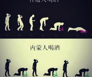 河套老窖38度浓香型多少钱（内蒙人都喜欢喝什么白酒）