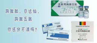 赖氨酸多少钱一支（胸腺肽）