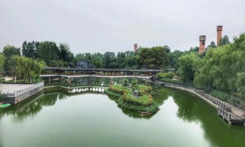 杜康多少錢一瓶（藏不住了）