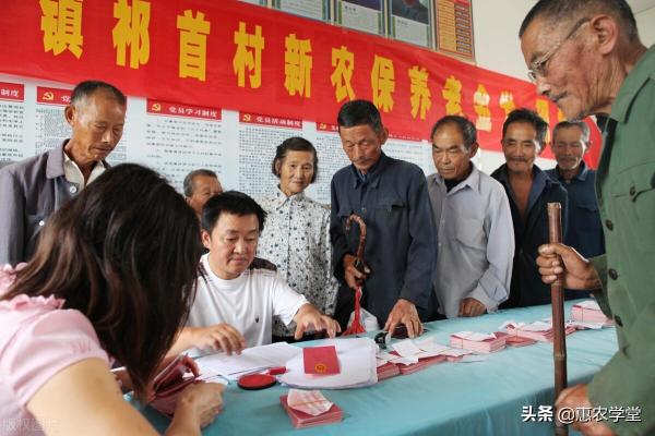 5000工资社保交多少钱（农村养老保险分为几档）