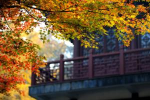栖霞山门票多少钱2016（南京正是赏秋）