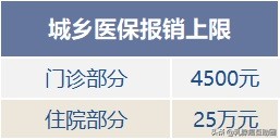 医保补牙报销多少钱啊（治病花费几十万）