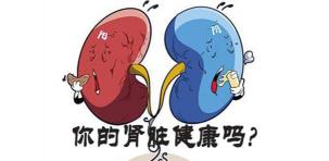 腎臟ct多少錢（腎有問題時）