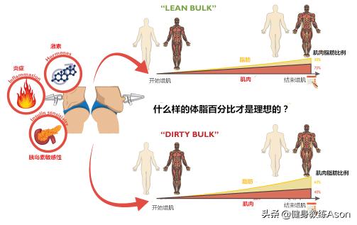 vivoy22il多少钱（想最大化增肌）
