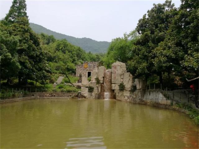 白色真龙多少钱一包（临武）