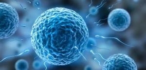 精液常规多少钱（3分钟带你看懂精子化验报告）