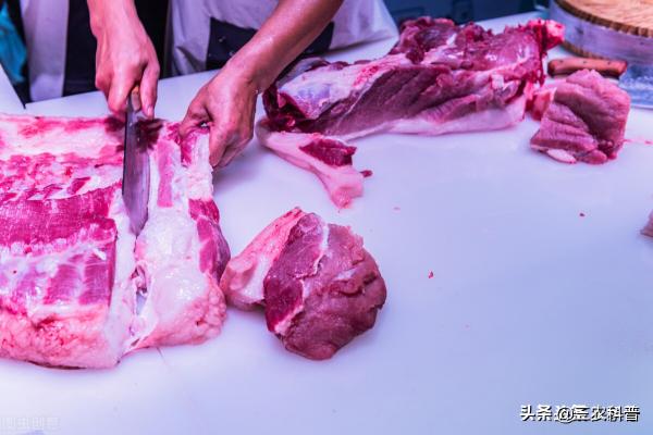 猪血多少钱一斤（猪肉）