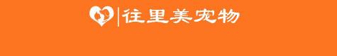 婆罗门鸡苗多少钱一只（一只鸡而已）