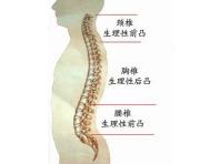 腰部x光多少钱（腰椎影像学报告单）