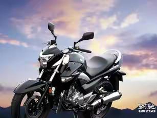gw250s多少钱（都说GW250是神车真的吗）