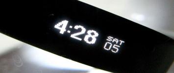 vivo手环多少钱（GARMIN）