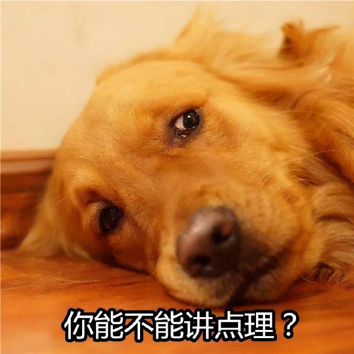 金毛配种多少钱（原来养）