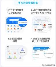 沈阳自己交保险多少钱（辽宁人今起可在支付宝缴纳社保费用）