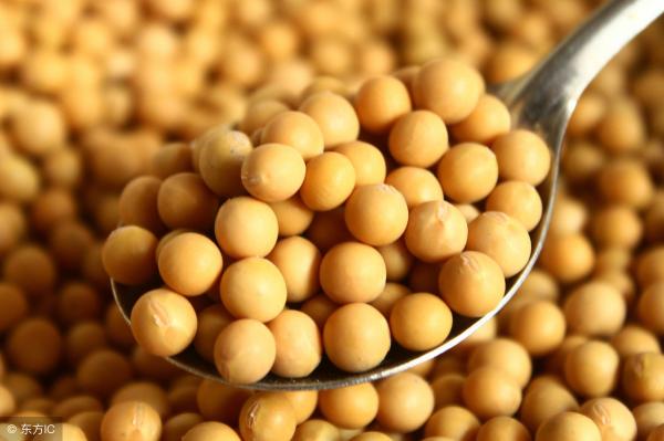 一斤黃豆多少錢（現(xiàn)在大豆收購(gòu)價(jià)多少錢一斤）