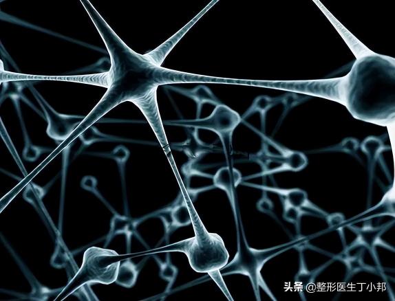 生长因子多少钱（变形疯长）