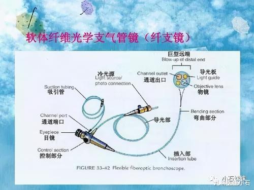 纤维支气管镜多少钱（纤维支气管镜你了解多少）