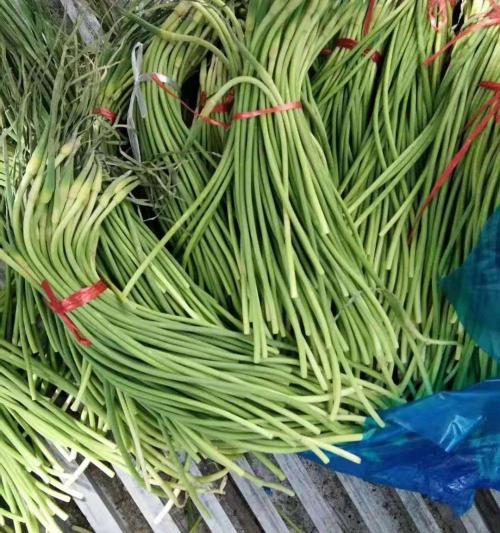 蒜苔多少钱一斤（突然降价）