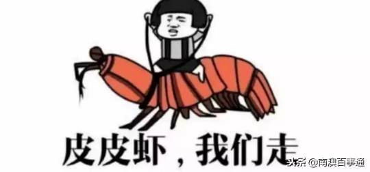 南澳赤菜一斤多少錢（海鮮集合嘍）
