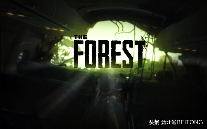 森林steam多少钱（精品不断）