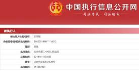王建林欠國家多少錢（王思聰欠債1）
