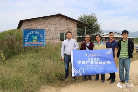 小鹅多少钱一只（年出200万只鹅苗）