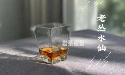 武夷水仙茶多少钱一斤（无论水仙）