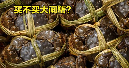 肉蟹多少钱一斤（大闸蟹旺季）