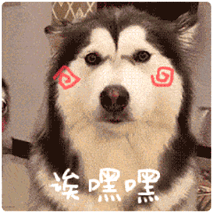 阿拉斯加3个月多少钱（阿拉斯加犬的）