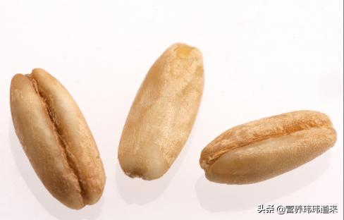 燕麦米多少钱一斤（关于燕麦）