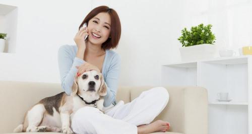 请律师离婚要多少钱（莫花冤枉钱）