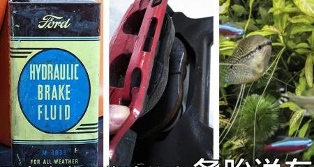刹车油多少钱换一次（刹车油究竟多久换一次）
