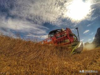 2016地补贴多少钱一亩（农民能够领到哪些补贴）