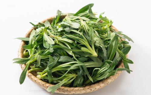 正宗野山药多少钱一斤（乡野间的）