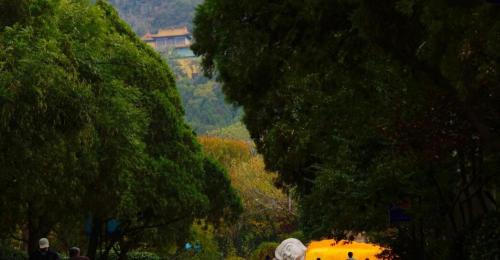 千佛山门票多少钱（济南千佛山一日游线路攻略推荐）