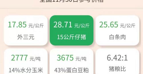 猪仔价格多少钱一头（11月30日仔猪价格）