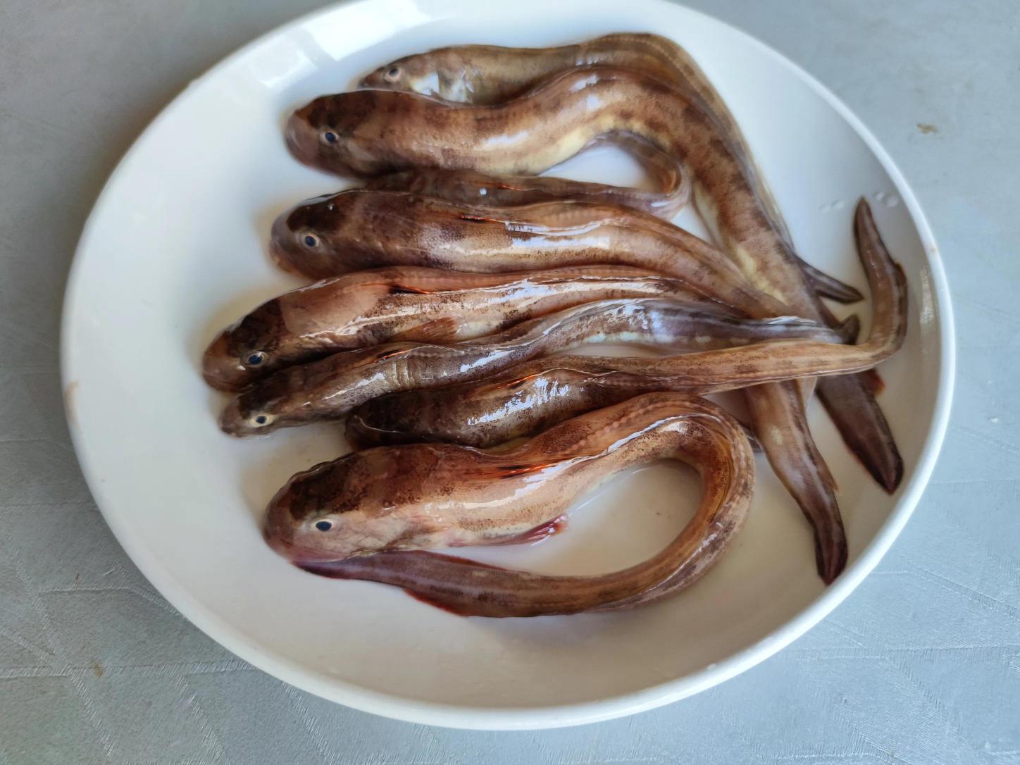蟾蜍多少钱一斤（春天的4种）