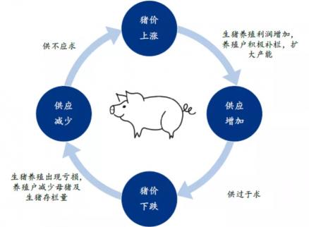 养一百头猪能挣多少钱（7）
