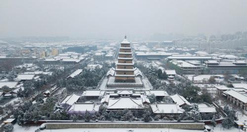 雪地胎4个多少钱（下雪啦）