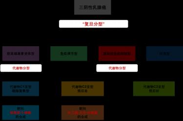 vivoy22il多少钱（科研速递）