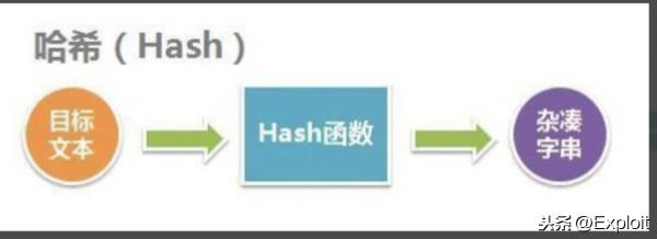 nem-al10多少钱（kali破解wifi握手包）