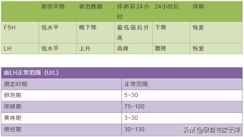 激素六项检查要多少钱（月经不调）
