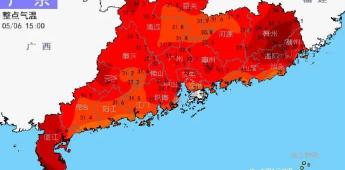茯苓多少钱一克（最高气温37）