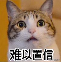 胶合板多少钱一张（胶合板）