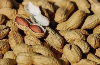 花生壳多少钱一吨（花生壳做肥料）