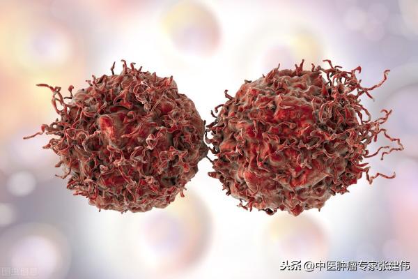 良性肿瘤切除需多少钱（良性肿瘤有必要切除吗）
