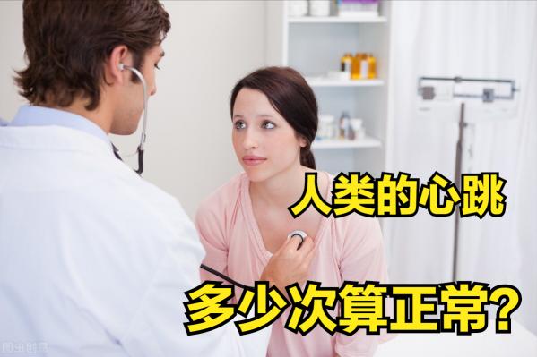 做全身检查多少钱（心跳）