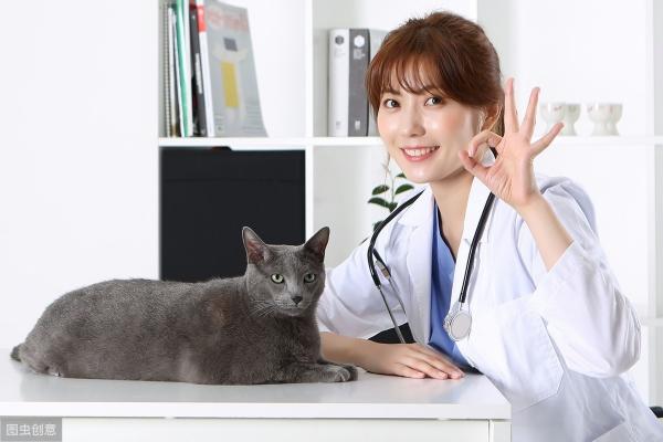 狗狗看病要多少钱（狗生病）